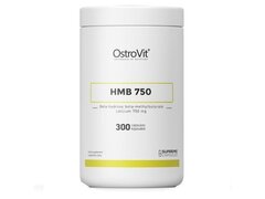 OstroVit Supreme Capsule HMB 750 mg 300 Capsule